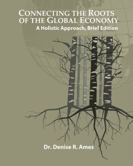Connecting the Roots of the Global Economy: A Holistic Approach, Brief Edition