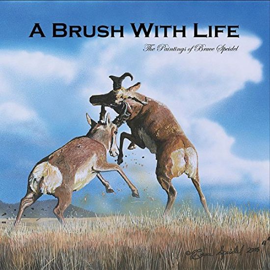 A Brush with Life: The Paintings of Bruce Speidel