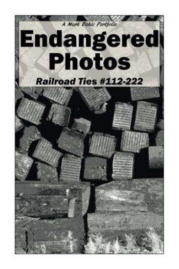 Endangered Photos: Railroad Ties #112-222