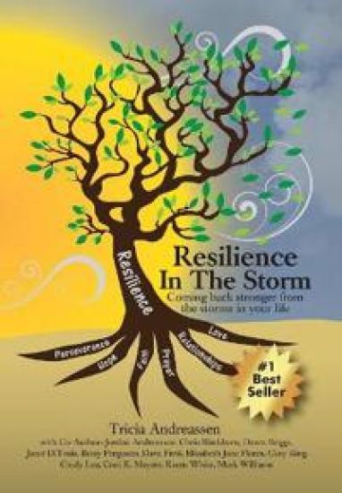 Resilience In The Storm