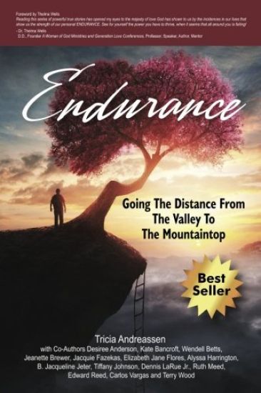 Endurance: Going The Distance From The Valley To The Mountaintop
