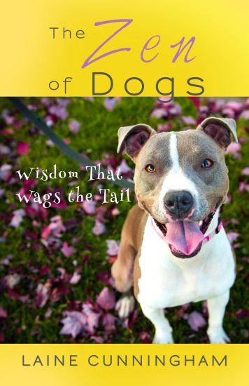The Zen of Dogs