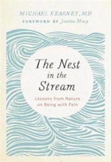 Nest in the Stream