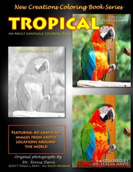 New Creations Coloring Book Series: Tropical