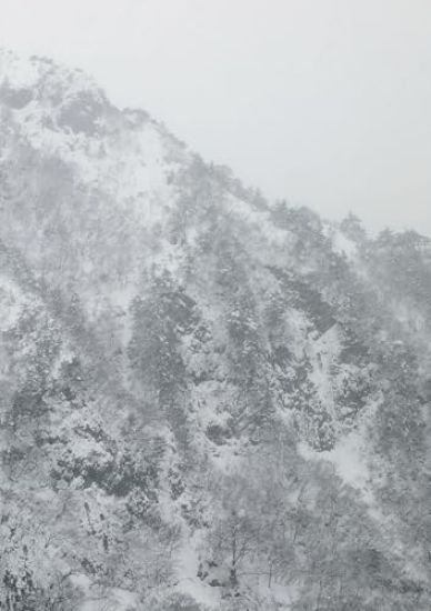 Keiko Sasaoka: Presence