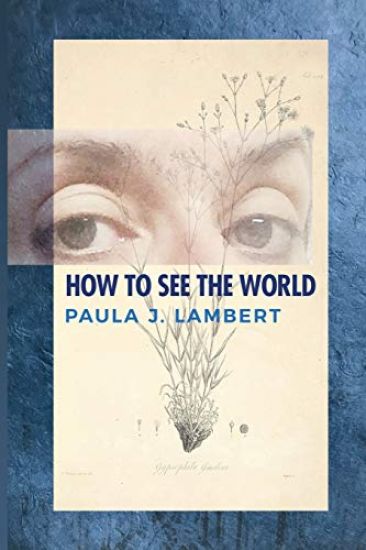 How to See the World: Poems