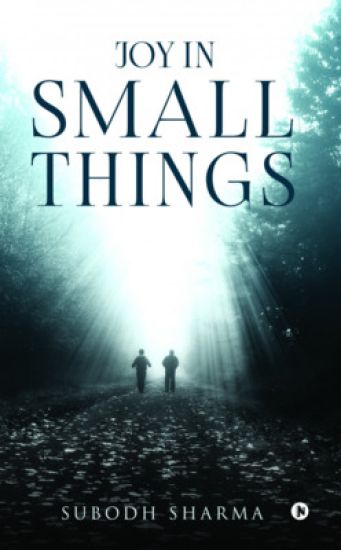 Joy in Small Things