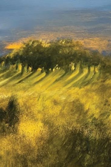 Jeffrey Scherer INTO THE WOODS