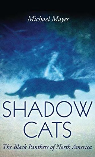 Shadow Cats