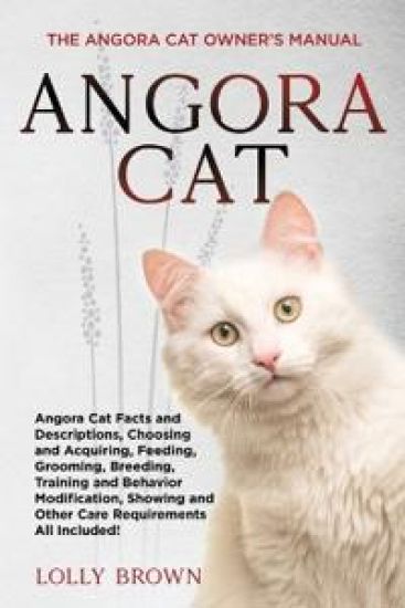 Angora Cat