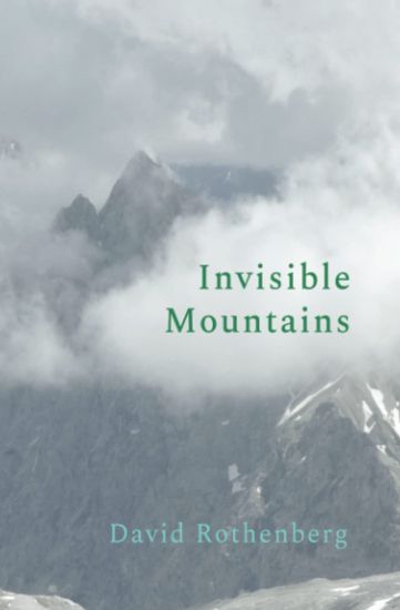Invisible Mountains