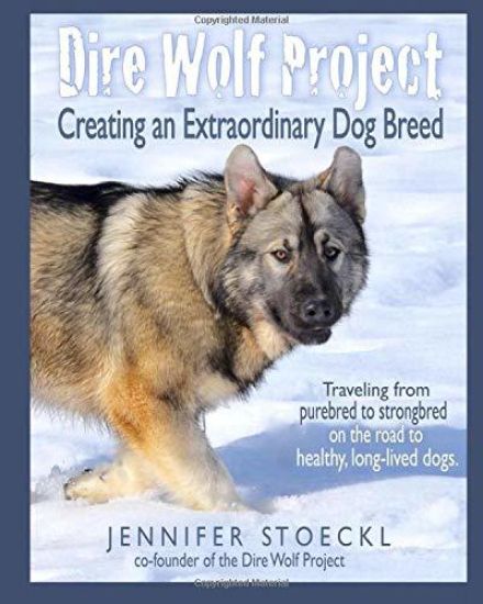 Dire Wolf Project: Creating an Extraordinary Dog Breed