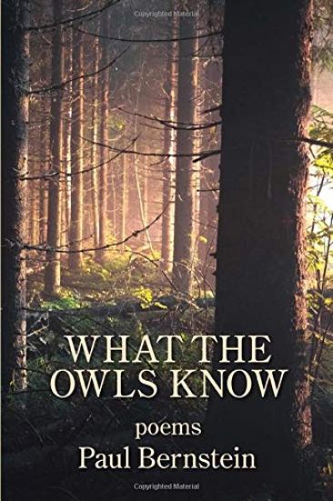 What the Owls Know
