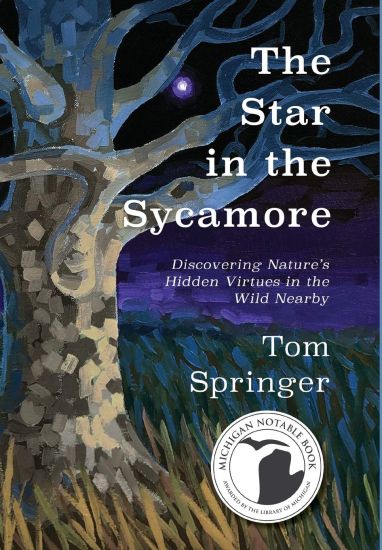 The Star in the Sycamore