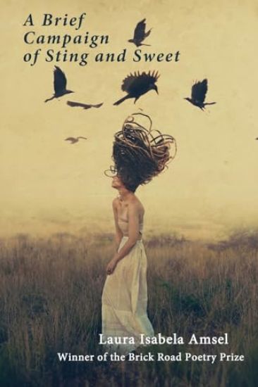 A Brief Campaign of Sting and Sweet