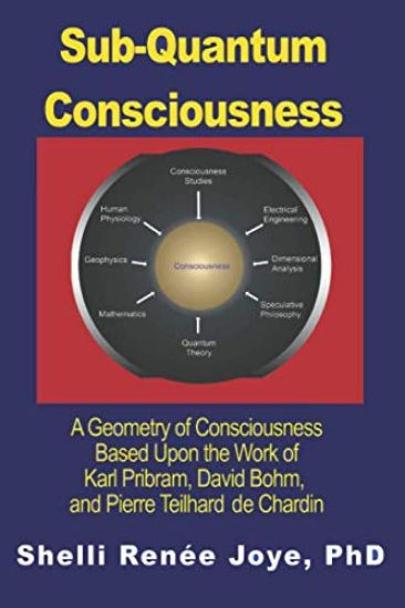Sub-Quantum Consciousness: A Geometry of Consciousness Based Upon the Work of Karl Pribram, David Bohm, and Pierre Teilhard De Chardin