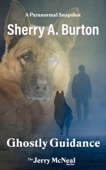 Ghostly Guidance