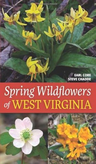 Spring Wildflowers of West Virginia