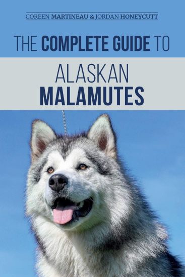 The Complete Guide to Alaskan Malamutes