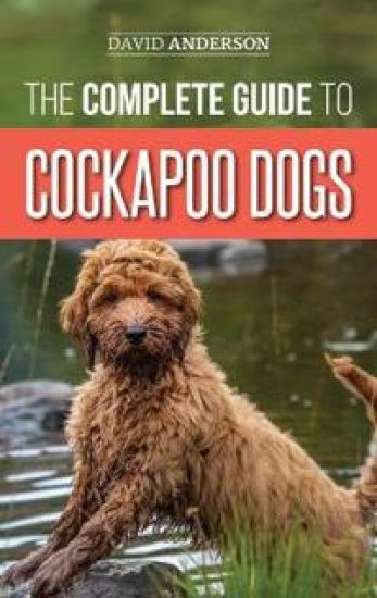 The Complete Guide to Cockapoo Dogs