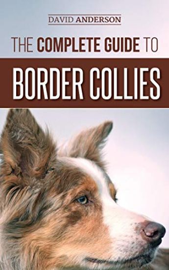 The Complete Guide to Border Collies