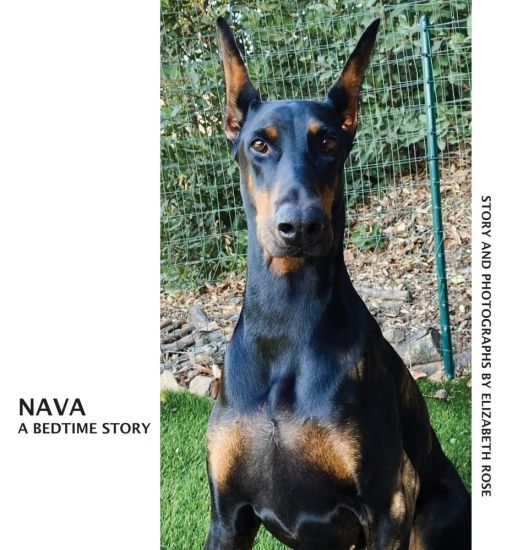 Kansikuva: Nava