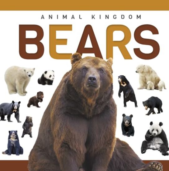 Bears