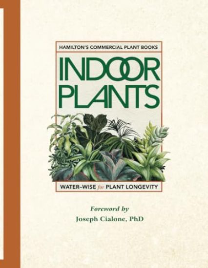 Hamilton's Commercial Indoor Plants