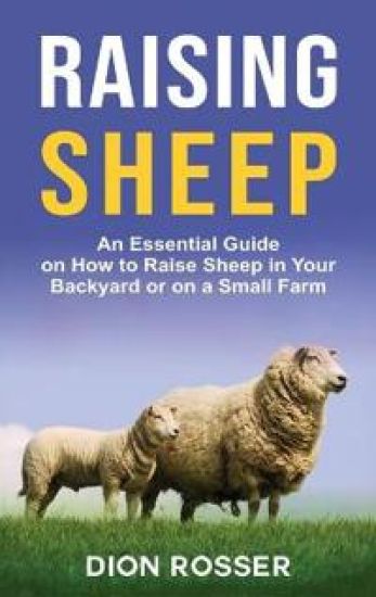 Raising Sheep