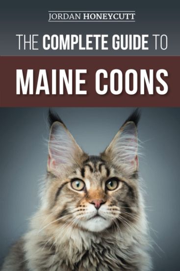 The Complete Guide to Maine Coons