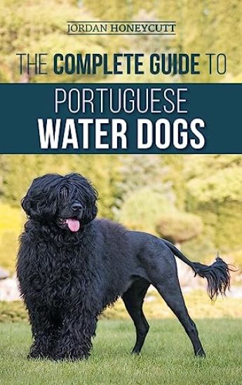 The Complete Guide to Portuguese Water Dogs