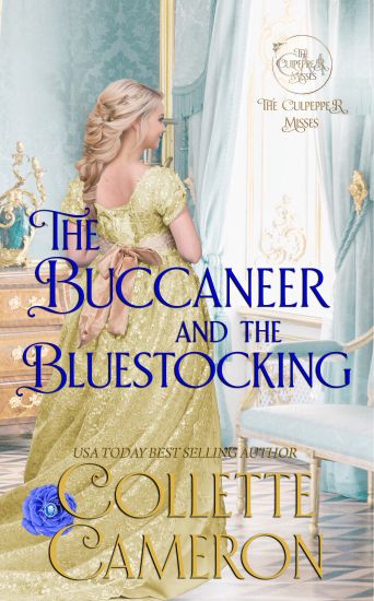 The Buccaneer and the Bluestocking