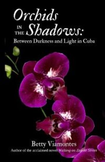 Orchids in the Shadows