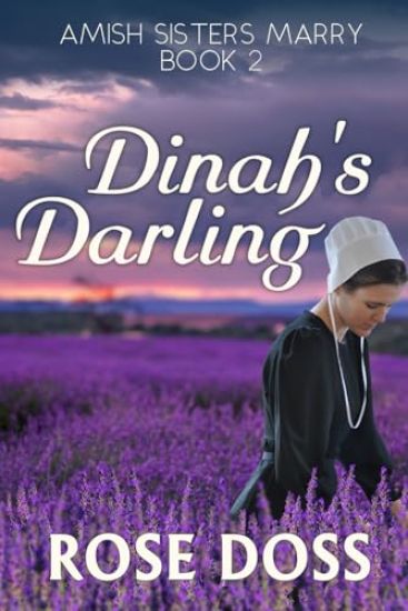 Dinah's Darling (Amish Sisters Marry Romance Series, Bk 2)