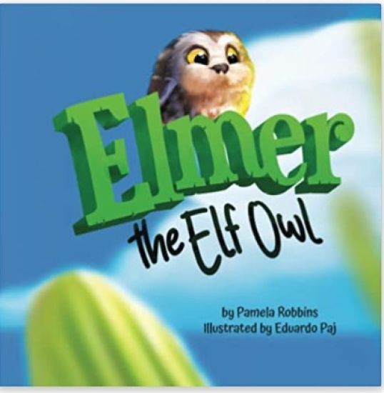 Elmer The Elf Owl