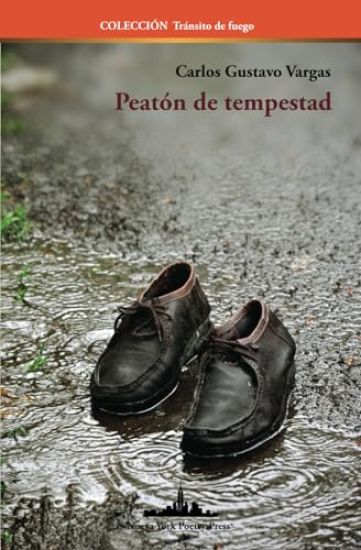 Peatón de tempestad