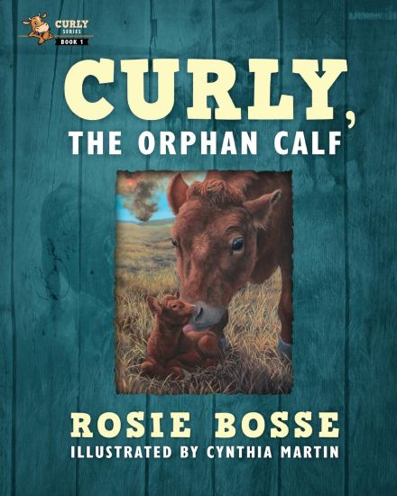 Curly, the Orphan Calf