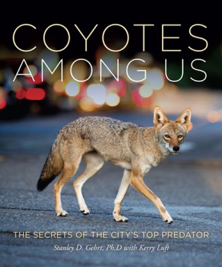 Living With Coyotes