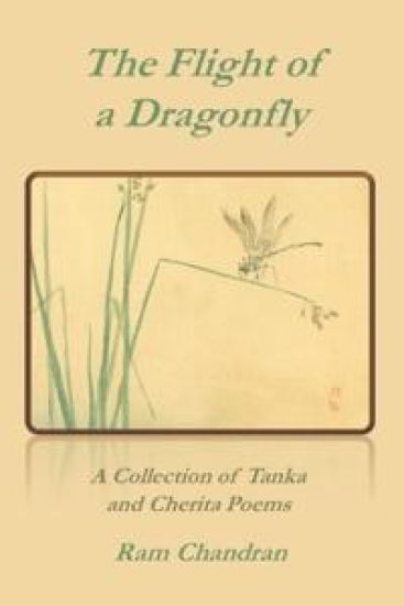 The Flight of a Dragonfly