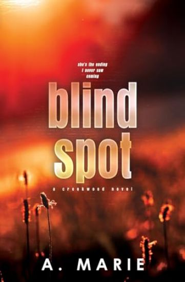 Blind Spot Discreet Cover