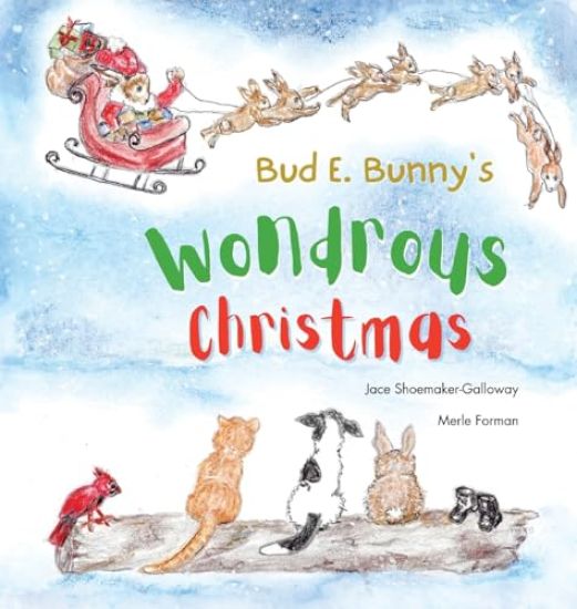 Bud E. Bunny's Wondrous Christmas