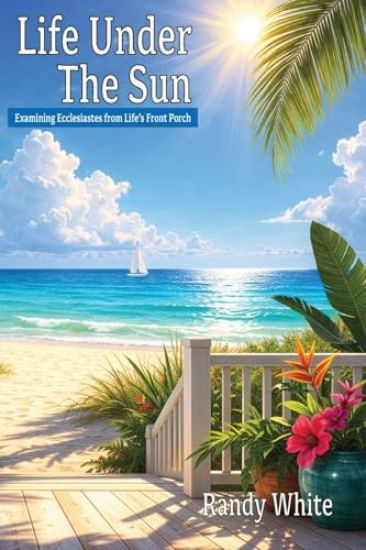 Life Under The Sun: Examining Ecclesiastes from Life's Front Porch