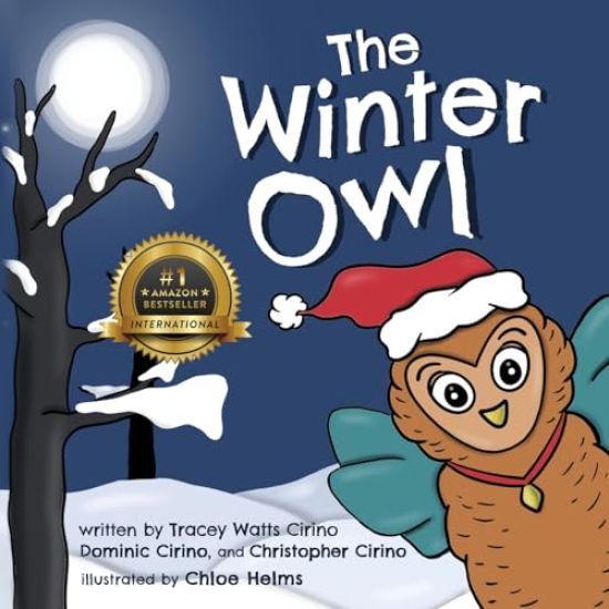 The Winter Owl