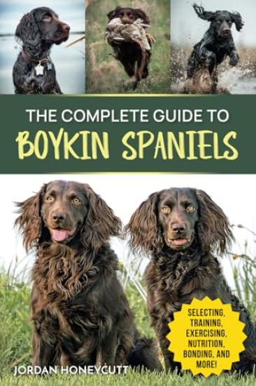 The Complete Guide to Boykin Spaniels