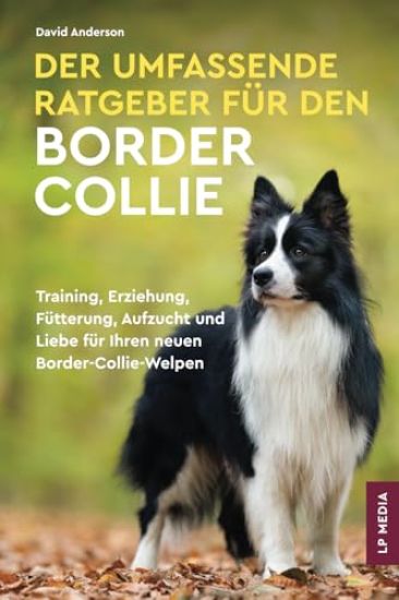 Der Umfassende Ratgeber Für Den Border Collie