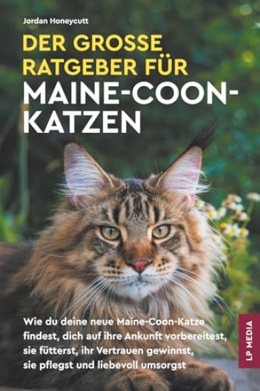 Der große Ratgeber für Maine-Coon-Katzen