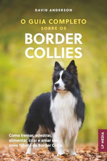 O Guia Completo sobre os Border Collies