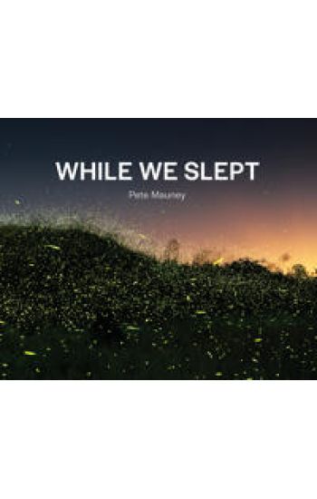 While We Slept