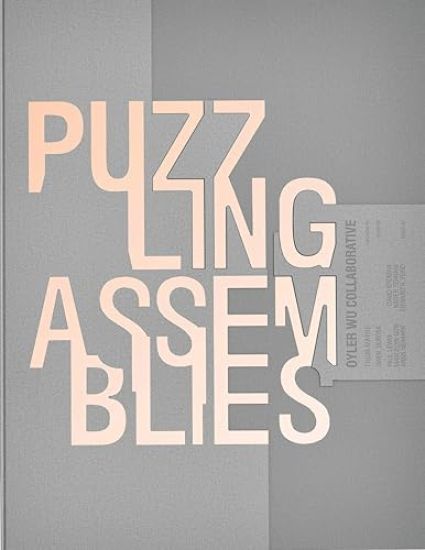 Puzzling Assemblies