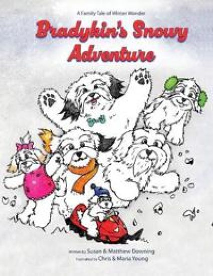 Bradykin's Snowy Adventure